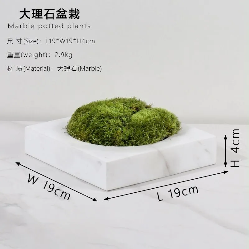 Marble potted plants  (1)